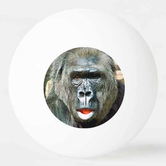 BALLE DE PING PONG GORILLE DRÔLE MIGNON (Devant)