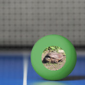 Balle De Ping Pong Grand gars (Filet)