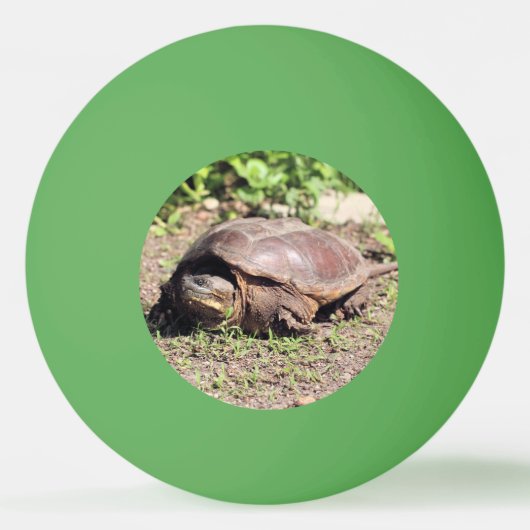 Balle De Ping Pong Grand gars (Devant)