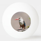 Balle De Ping Pong Grey-Headed Kingfisher (Dos)