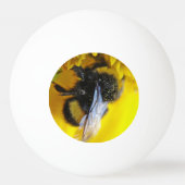 Balle De Ping Pong Gros bourdon (Dos)