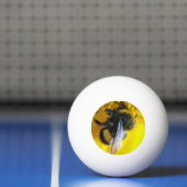 Balle De Ping Pong Gros bourdon (Filet)