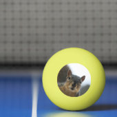 Balle De Ping Pong Hé, là (Filet)