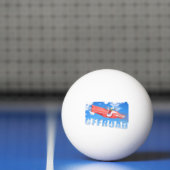 Balle De Ping Pong Hors route - 01 (Filet)