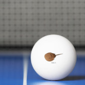 Balle De Ping Pong Horseshoe crab (Filet)