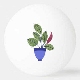 Balle De Ping Pong Houseplant
