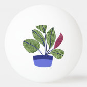 Balle De Ping Pong Houseplant (Dos)