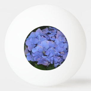Balle De Ping Pong Hydrangea macrophylla violette rustique