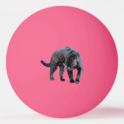 Balle De Ping Pong Jaguar Diablo 1 étoile balle de ping-pong rose (Devant)