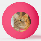 Balle De Ping Pong Joli Penny (Dos)