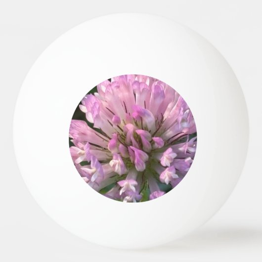 Balle De Ping Pong Jolie fleur de trèfle (Devant)