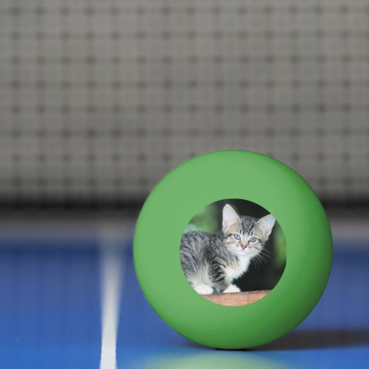Balle De Ping Pong Kitten (Filet)