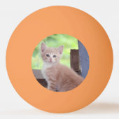 Balle De Ping Pong Kitten (Dos)