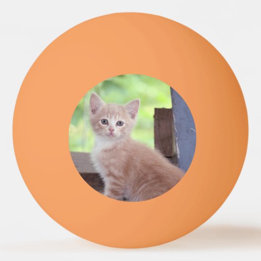 Balle De Ping Pong Kitten (Dos)