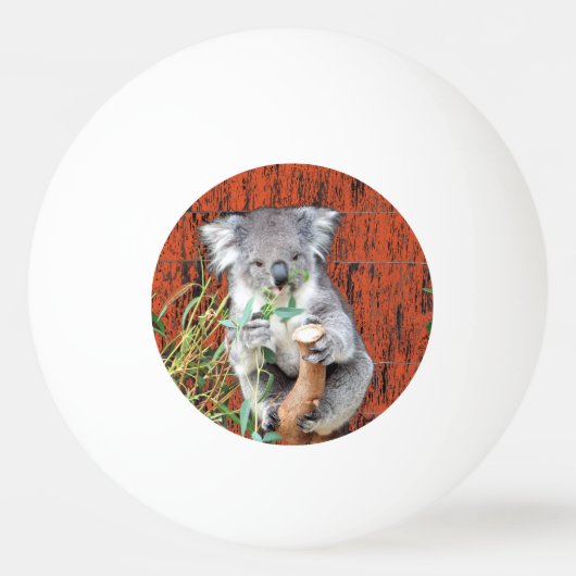Balle De Ping Pong Koala Snack Time Ping Pong Ball (Devant)