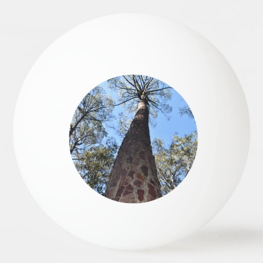 Balle De Ping Pong La Gerche Ponderosa Pine Ping Ping Pong Ball (Devant)