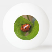 Balle De Ping Pong Ladybug sur les fleurs de violet doux (Dos)