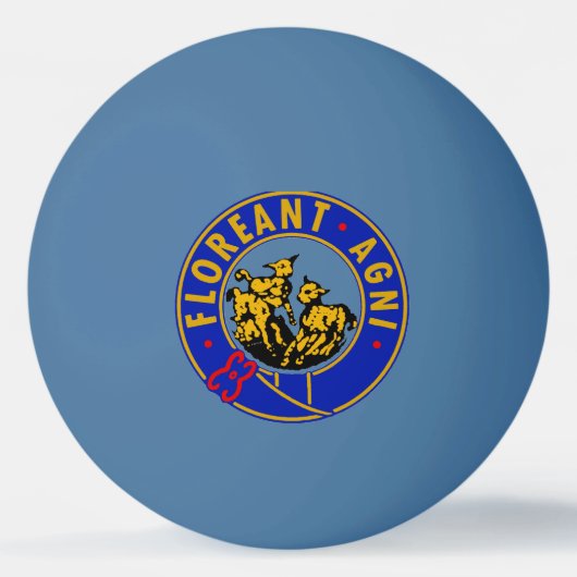 Balle De Ping Pong Lambs Pong (Devant)