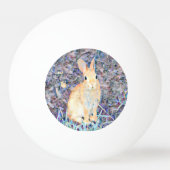 Balle De Ping Pong Lapin (Devant)