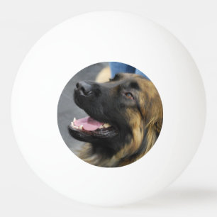 Balle De Ping Pong Leonberger