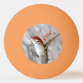 Balle De Ping Pong Les Têtes De Lizard À Ondes Roulettes Ont Plus De  (Devant)