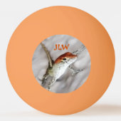 Balle De Ping Pong Les Têtes De Lizard À Ondes Roulettes Ont Plus De  (Dos)