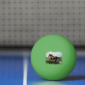 Balle De Ping Pong Liberté/Liberdade/Freedom (Filet)