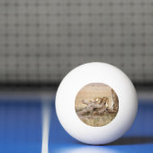 Balle De Ping Pong Lioness stretching (Filet)