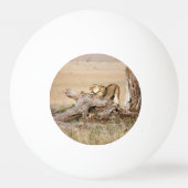 Balle De Ping Pong Lioness stretching (Devant)