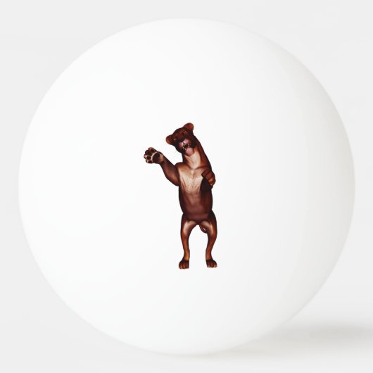 Balle De Ping Pong Löwe (Devant)