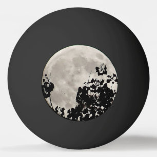 Balle De Ping Pong Lune derrière feuilles sombres