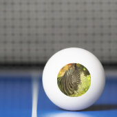 Balle De Ping Pong Mapified - Zebra (Filet)