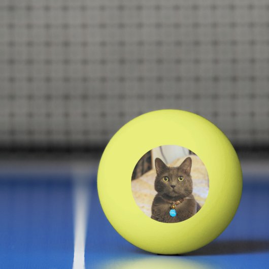 Balle De Ping Pong Mims (Filet)