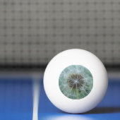 Balle De Ping Pong Motif blanc (Filet)