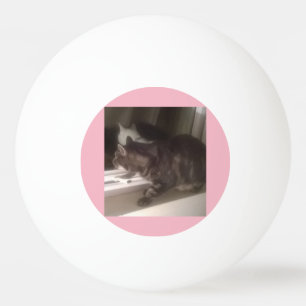 Balle De Ping Pong Ne vous parlez pas Dave Trois étoiles Ping Pong Ba