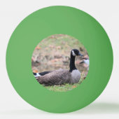 Balle De Ping Pong Oie (Devant)