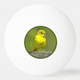 Balle De Ping Pong Orchard Oriole - Photo originale