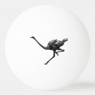 Balle De Ping Pong Ostrich Running Cool Athlète Art animal