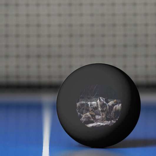 Balle De Ping Pong Pack Wolf (Filet)