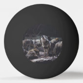 Balle De Ping Pong Pack Wolf (Devant)