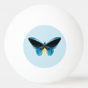 Balle De Ping Pong Papillon Birdwing