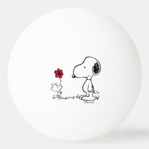 Balle De Ping Pong PEANUTS Motif rouge et noir