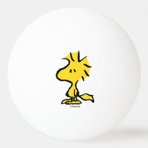 Balle De Ping Pong Peanuts Snoopy's Friend Woodstock