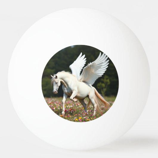 Balle De Ping Pong Pegasus (Devant)