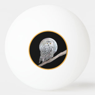 Balle De Ping Pong Peinture sur la Chouette neigeuse et la Lune - Art