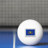 Balle De Ping Pong Pennsylvanie (Filet)
