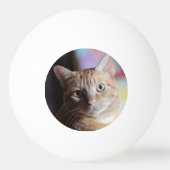Balle De Ping Pong Penny (Dos)