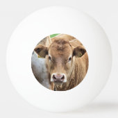 BALLE DE PING PONG PETITE VACHE CUITE (Devant)
