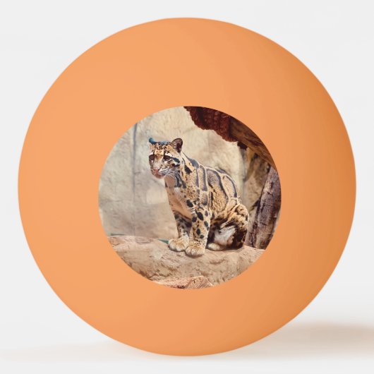 Balle De Ping Pong photo de léopard nuageux nature faune exotique (Devant)