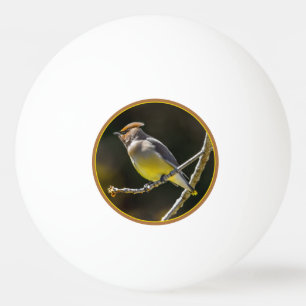 Balle De Ping Pong Photographie originale d'oiseau sauvage de Jaseur